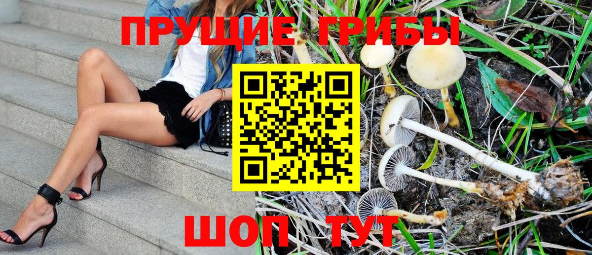 Кохма  Псилоцибиновые грибы Magic Shrooms  Вход с VPN 