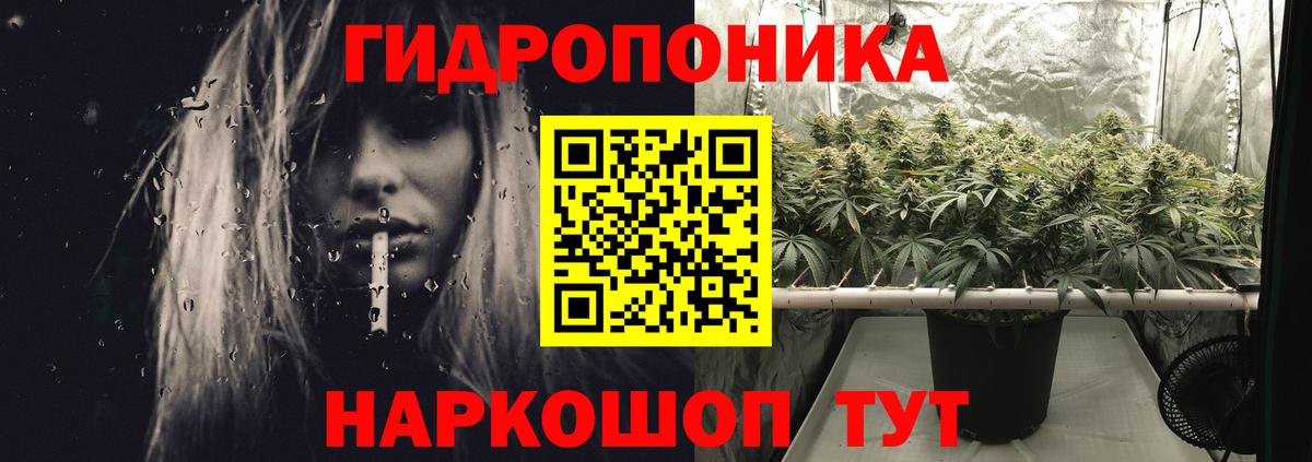 Каннабис сатива  Шишки марихуана ГИДРОПОН  Шишки марихуана ГИДРОПОН  Вход с VPN  Кохма 